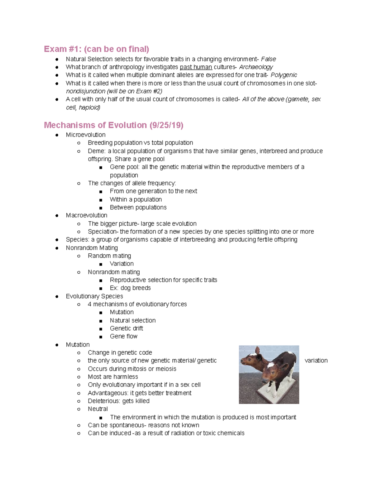 Anthropology 101 Unit 2 Notes - Exam #1: (can be on final) Natural ...