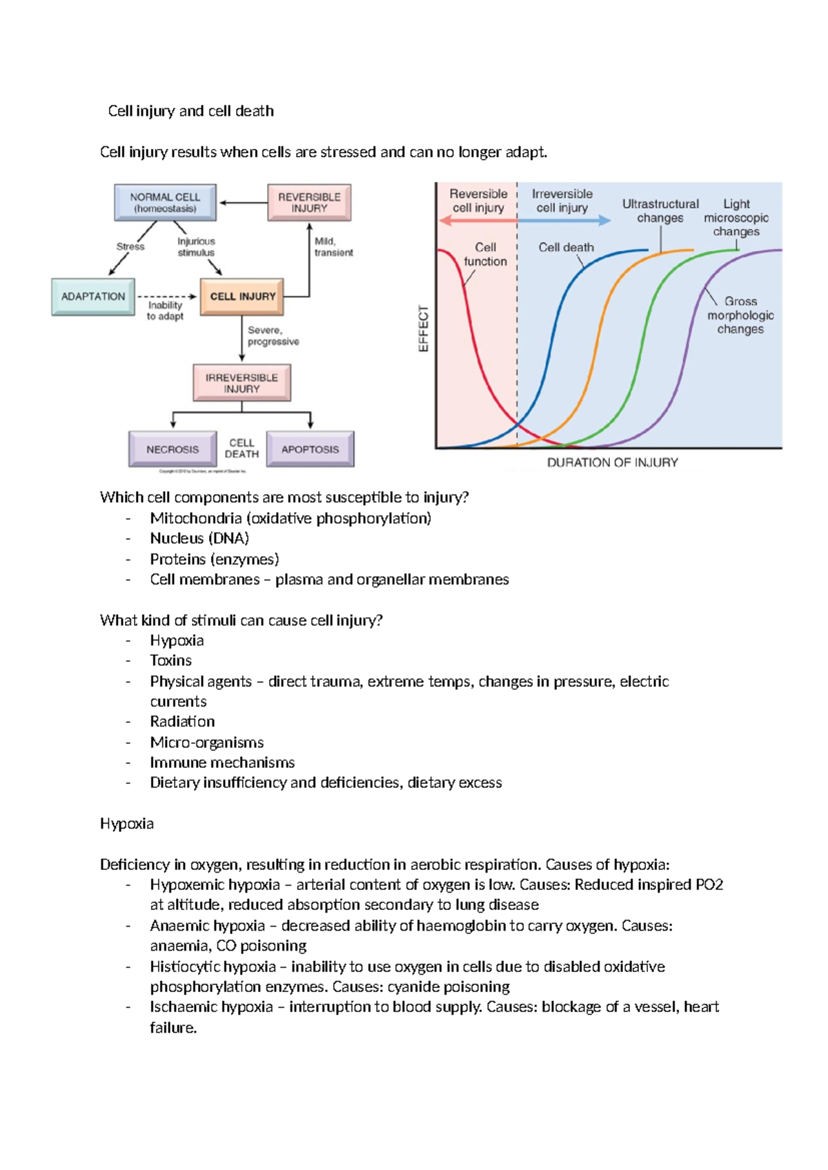 Cell injury and cell death - Which cell components are most susceptible ...
