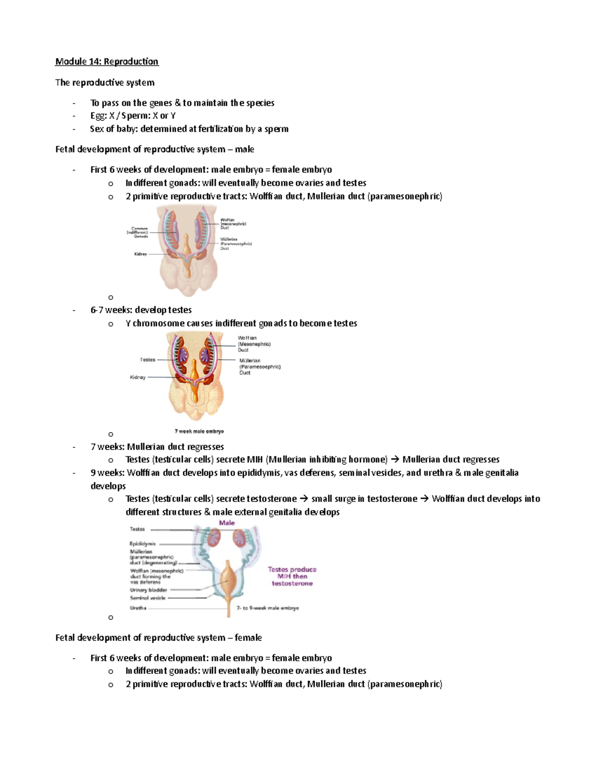 Module 14 - Reproduction - Module 14: Reproduction The reproductive ...