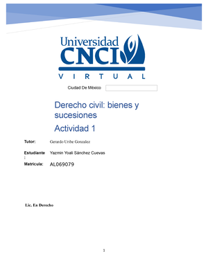 Actividad 1 Derecho Civil Bienes Y Sucesiones - UNIVERSIDAD CNCI ...