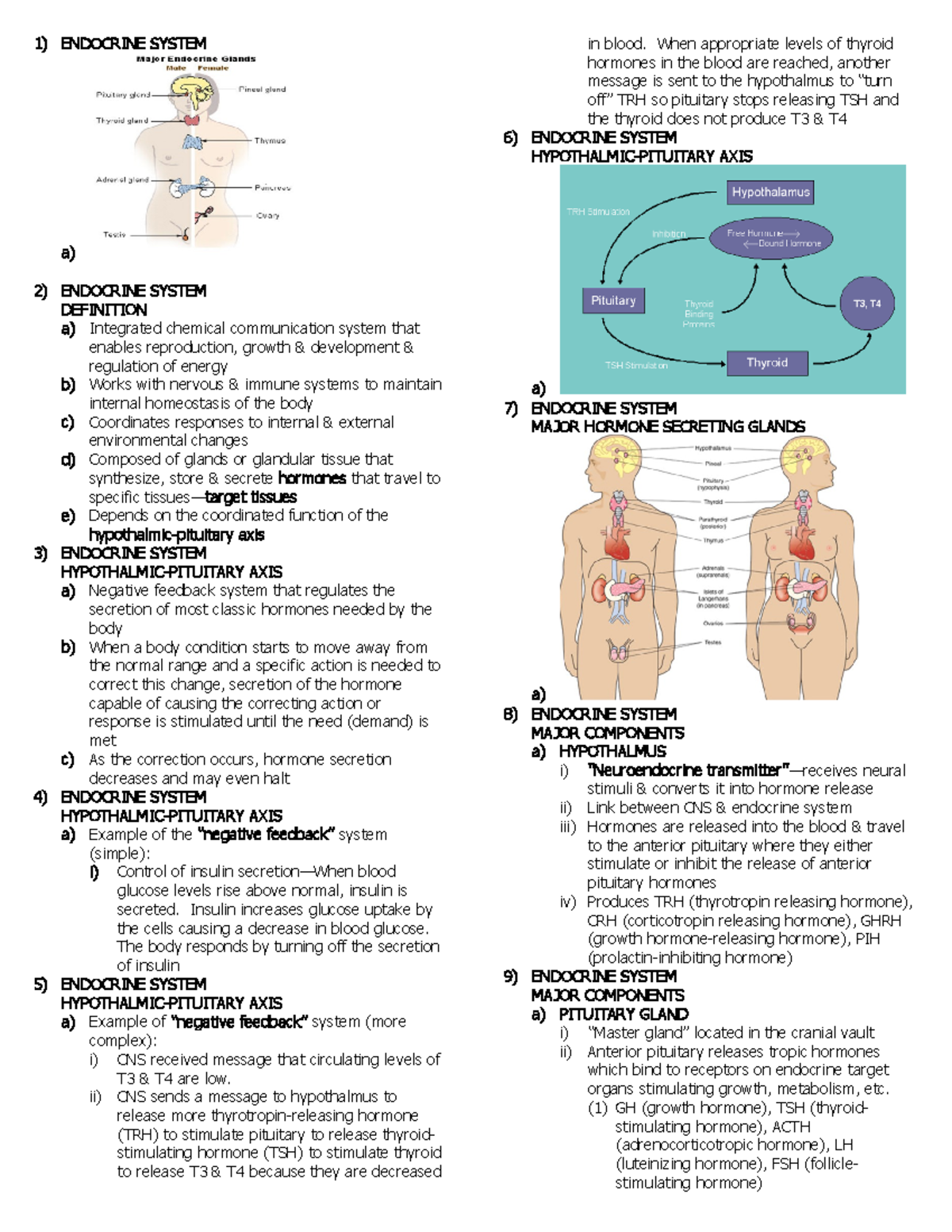 Endocrine - 1) ENDOCRINE SYSTEM In Blood. When Appropriate Levels Of ...