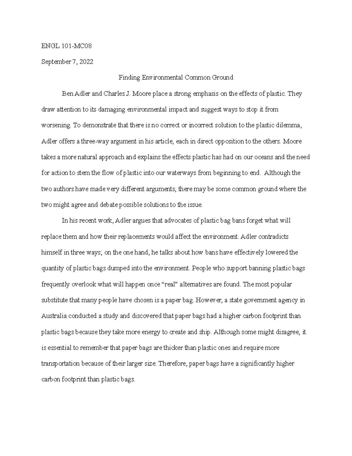 finding common ground essay