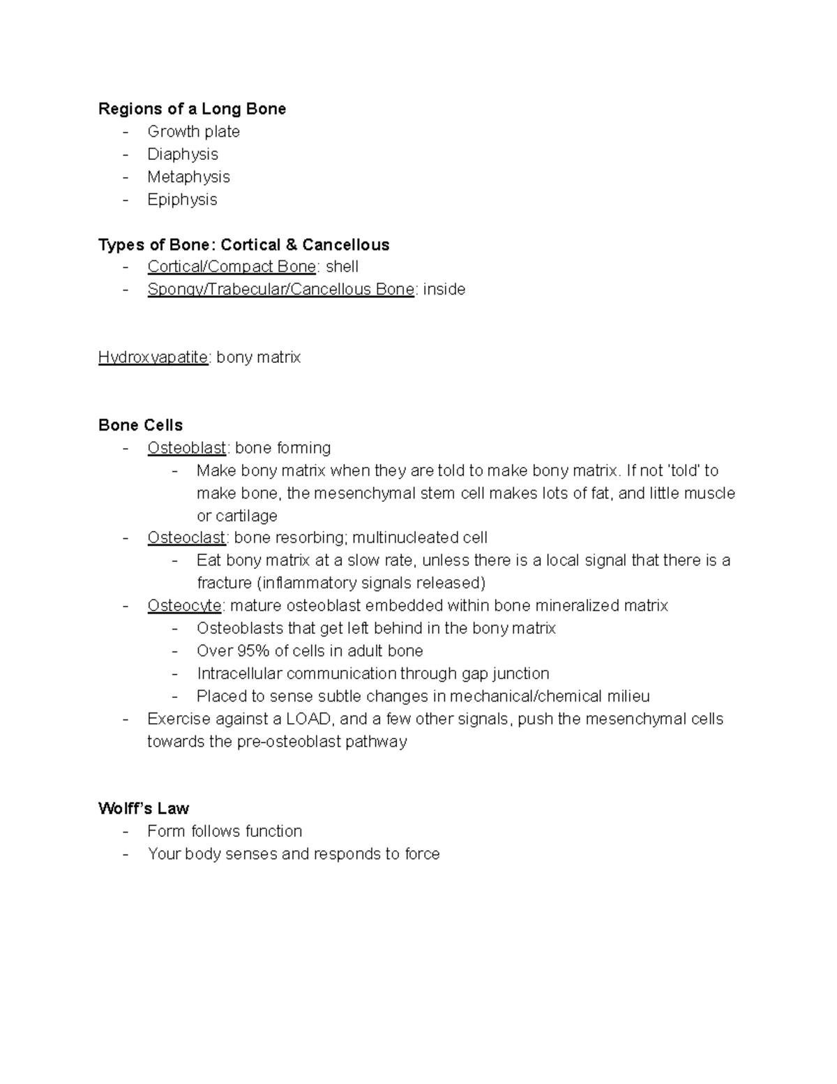 bme-cycle-3-day-2-lecture-notes-regions-of-a-long-bone-growth