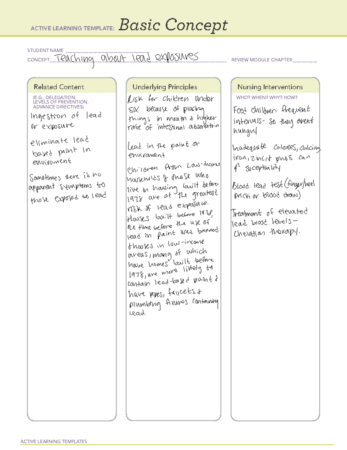 Basic concept teaching about lead exposures - ACTIVE LEARNING TEMPLATES ...