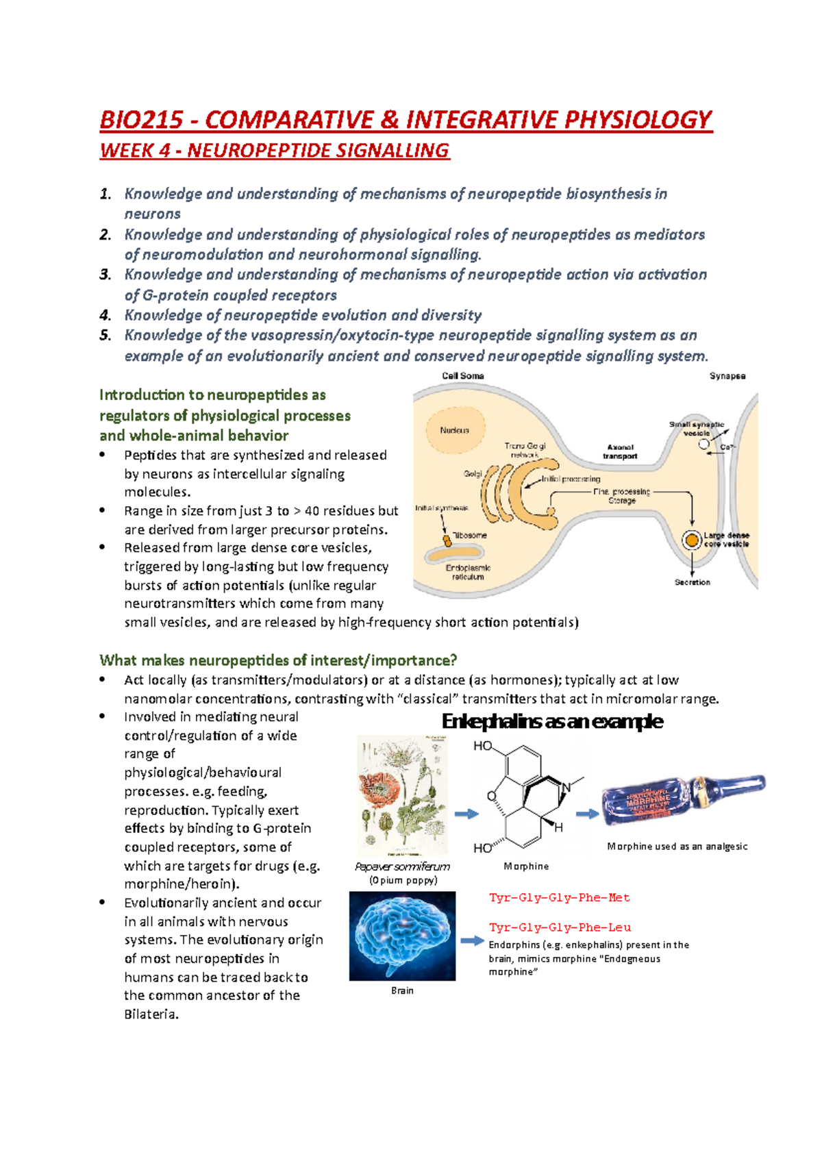 BIO215 Week 4 - NEUROPEPTIDE SIGNALLING - BIO215 - COMPARATIVE ...