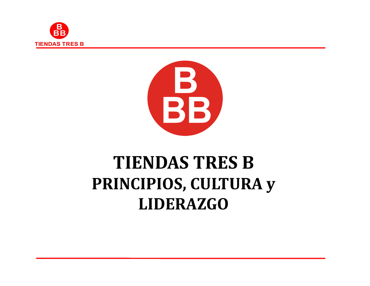 Cultura 3B - Resumen - TIENDAS TRES B PRINCIPIOS, CULTURA Y LIDERAZGO ...