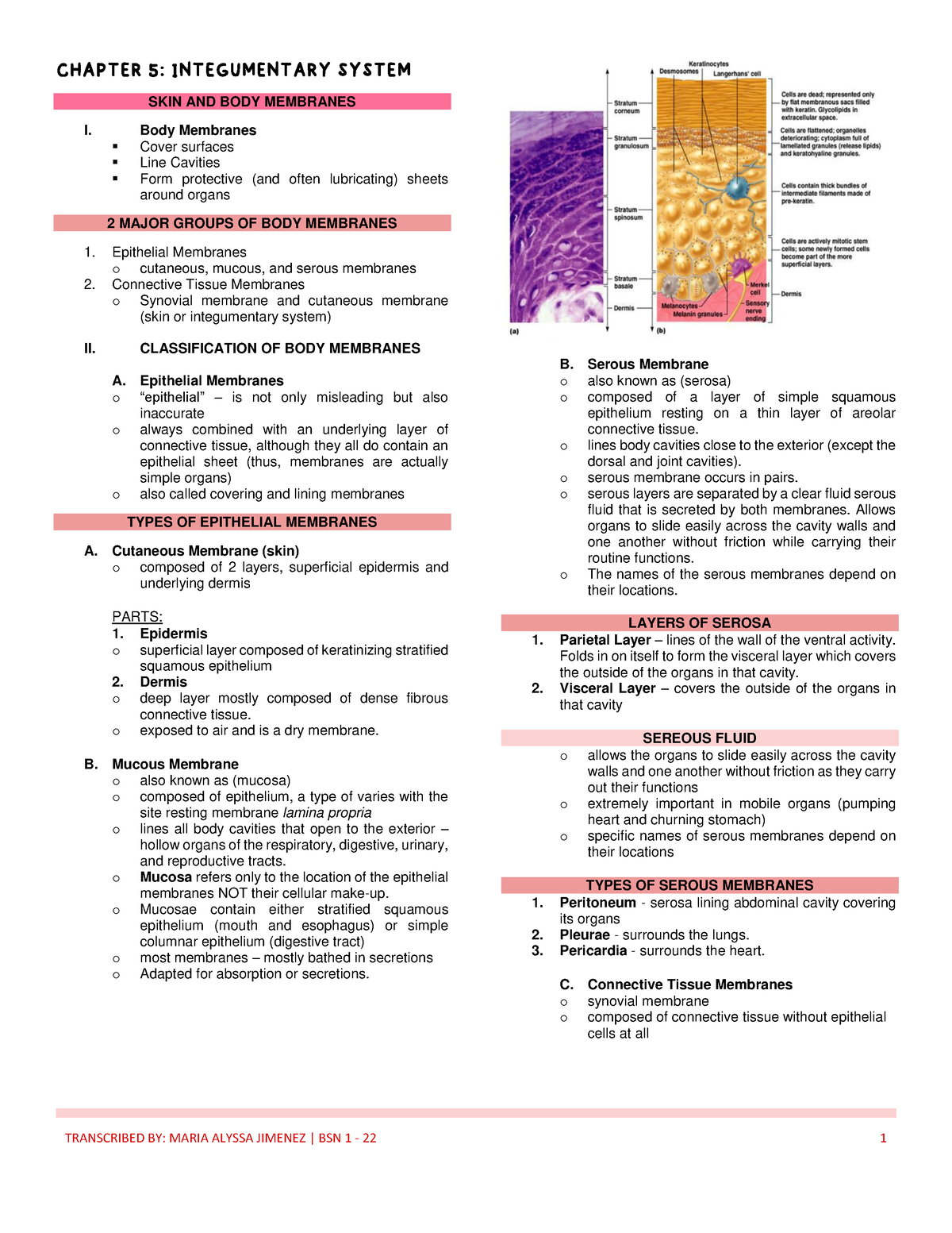 Anaphy Midterms - SKIN AND BODY MEMBRANES I. Body Membranes Cover ...