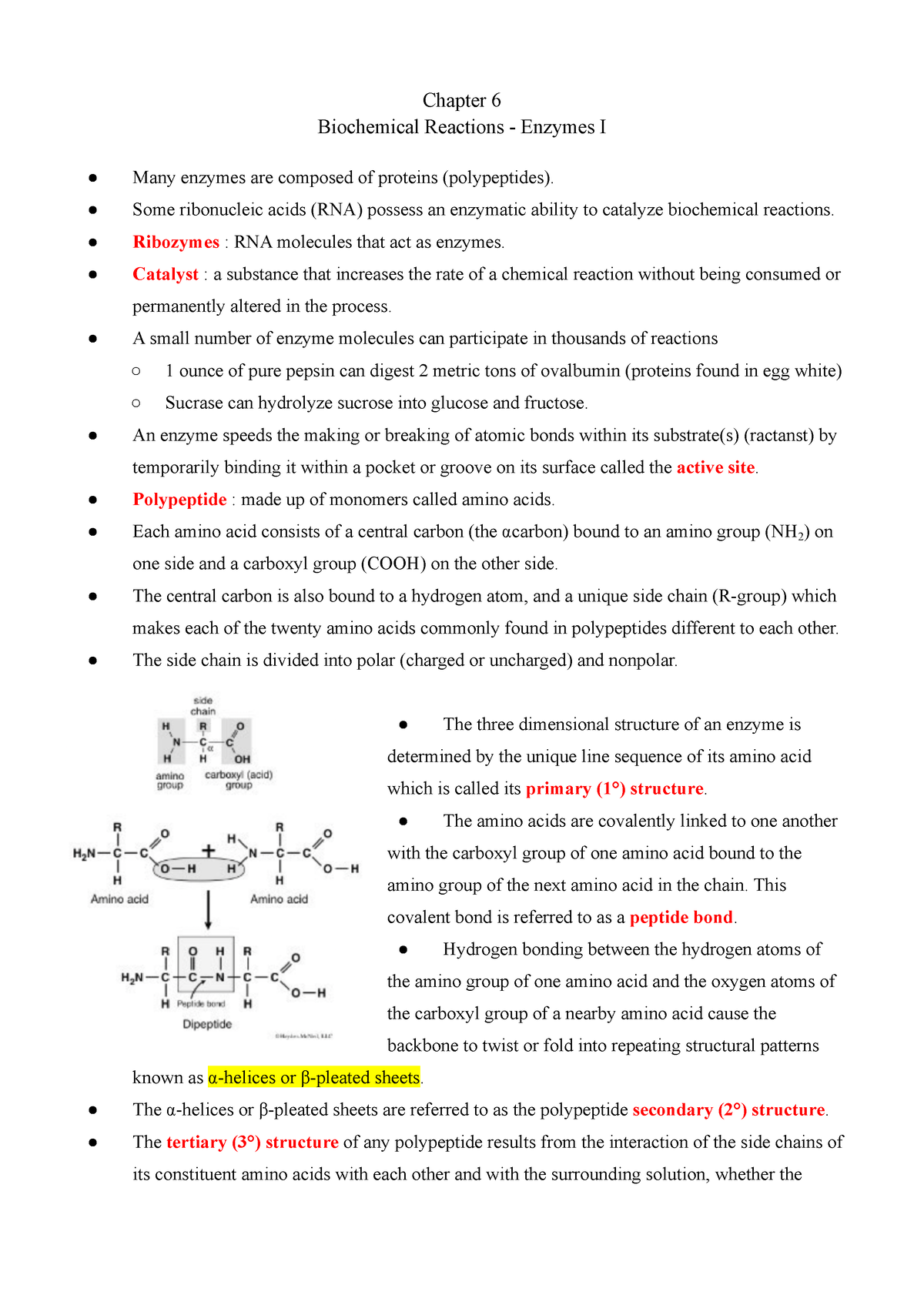 BIO Lab Notes (ch 6-9) - Chapter 6 Biochemical Reactions - Enzymes I ...