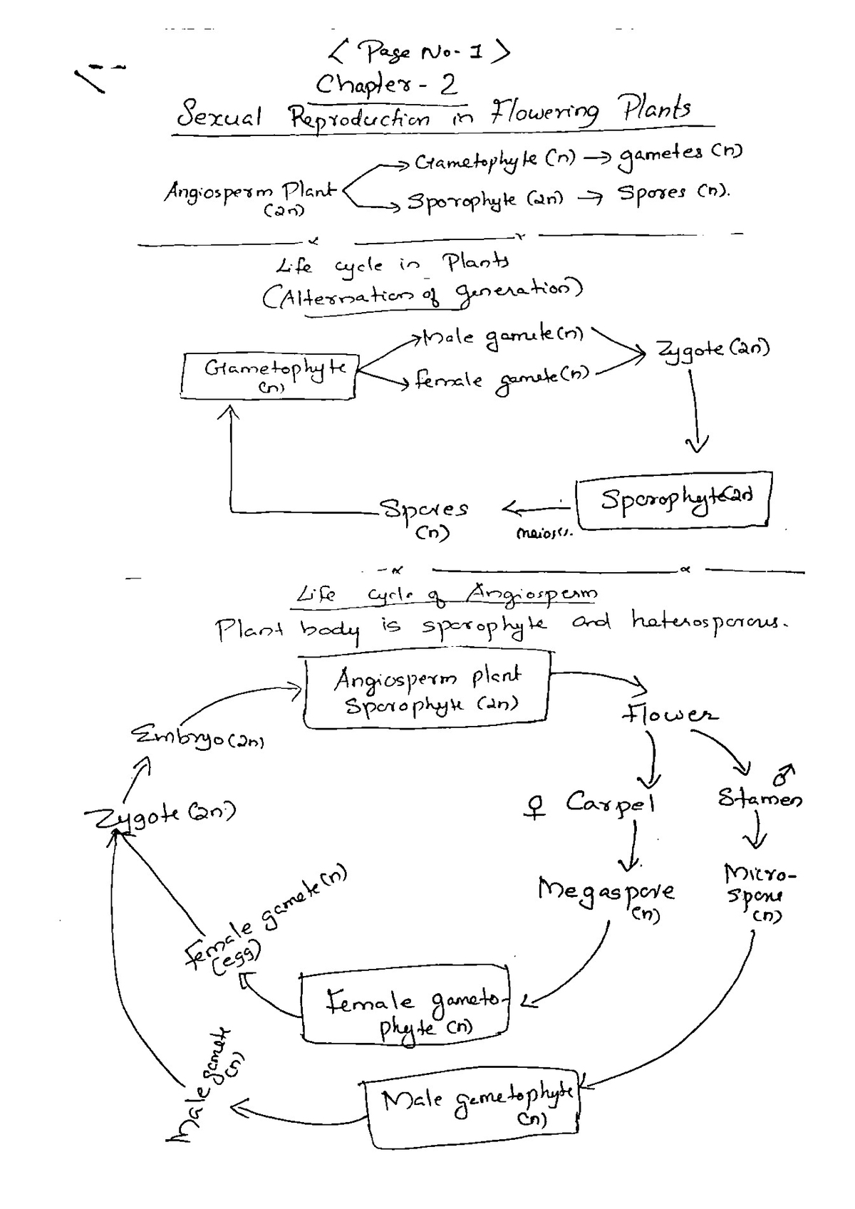 Botany notes Botony Computer science engineering Studocu