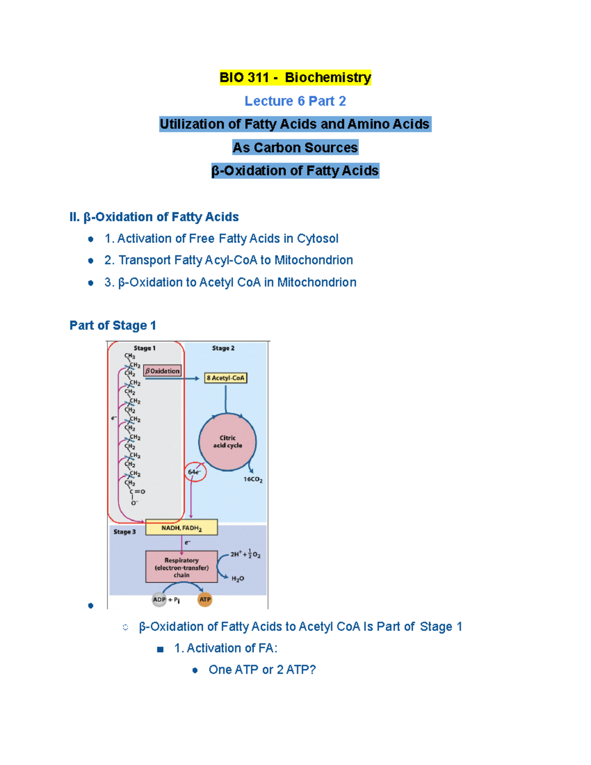 BIO 311 Lecture 6 Part 2 Fall 2020 - BIO 311 - Biochemistry Lecture 6 ...