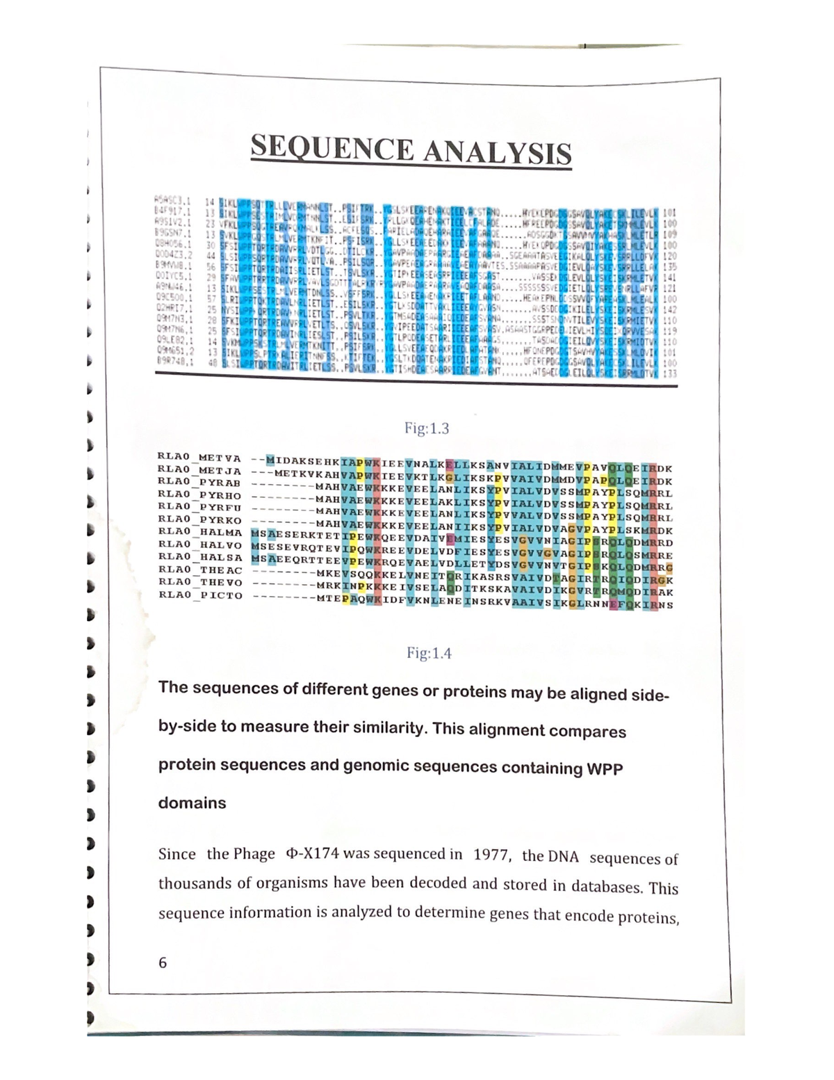 Sequence Analysis 2 - Report - Bioinformatics - Studocu