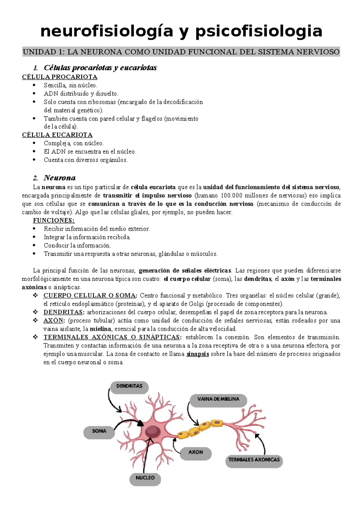 Neuro -Guada - Neurofisiología Y Psicofisiologia UNIDAD 1: LA NEURONA ...