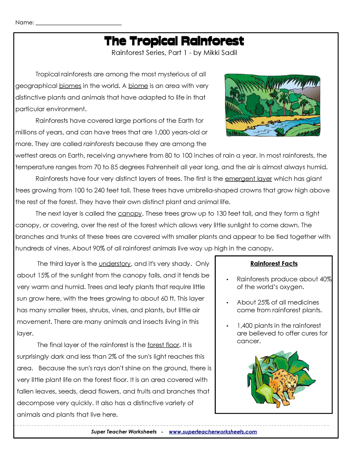 Rainforest Comprehension The Tropical Rainforest Rainforest Series