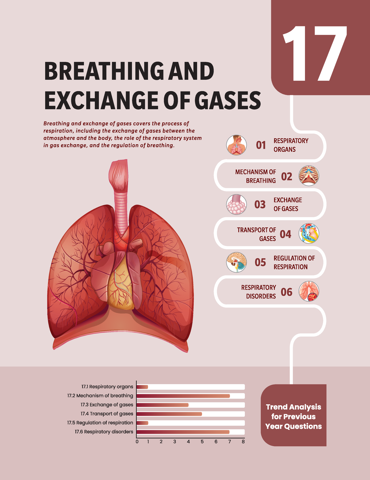 Ch 17. Breathing and Exchange of Gases - Biology - Studocu