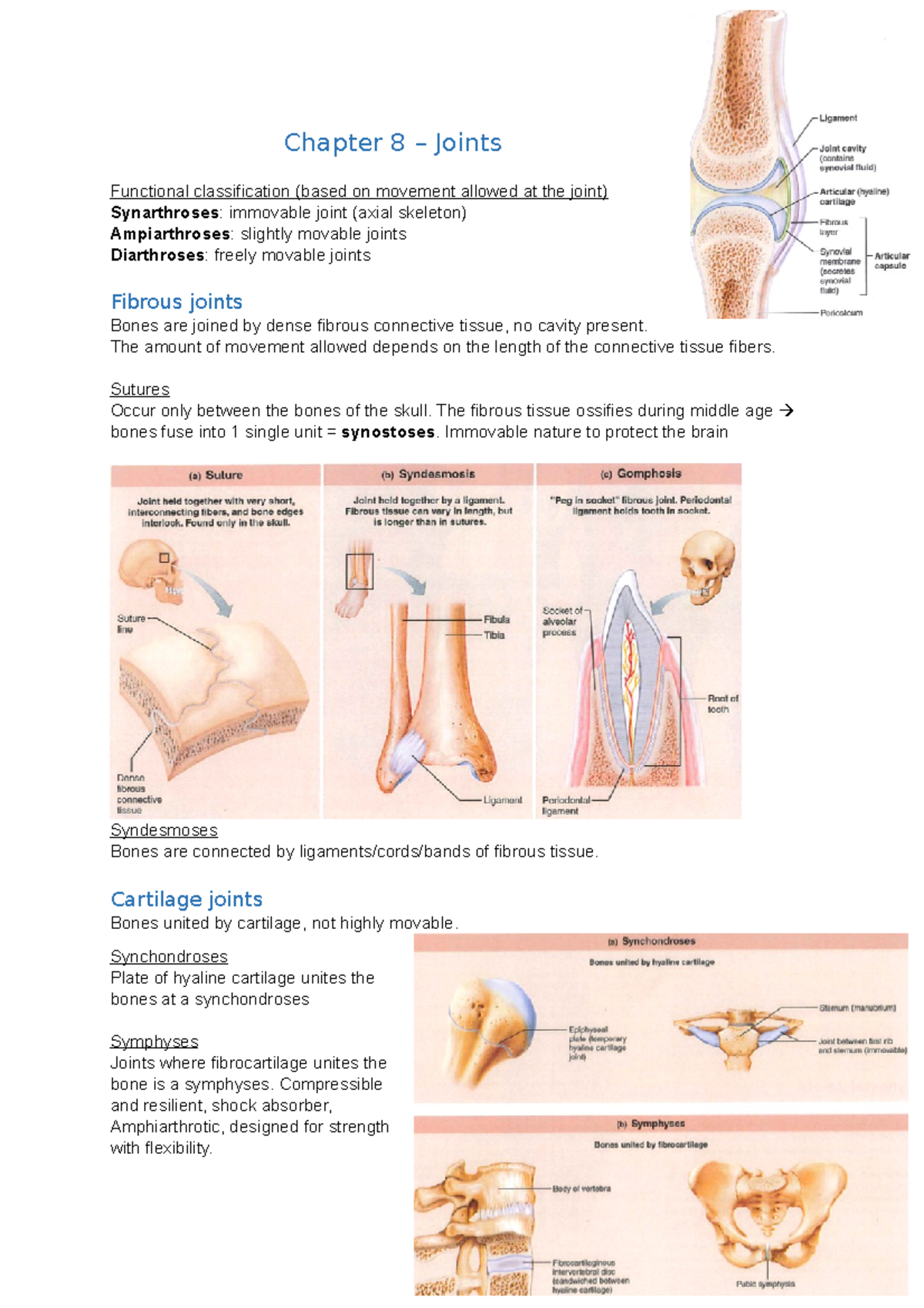 Summary Chapter 8 Joints Chapter 8 Joints Functional Classification Based On Movement 5365