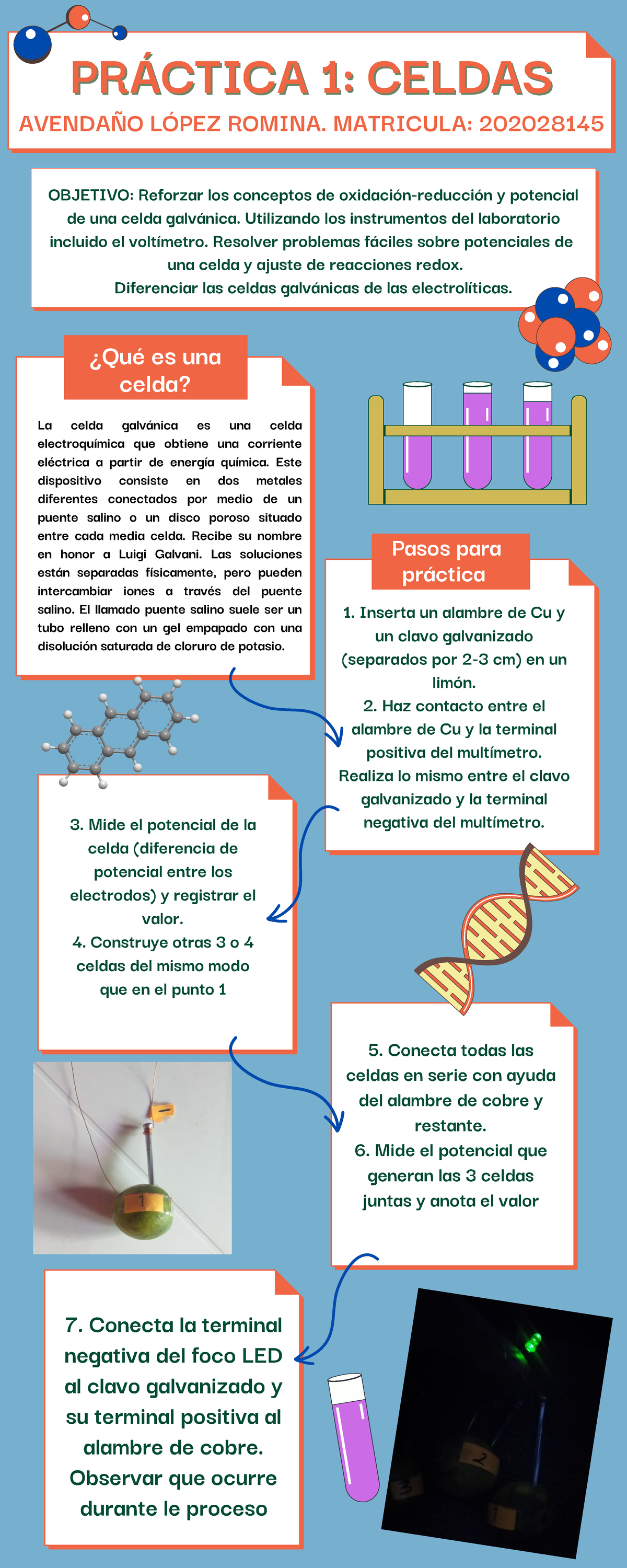 Infografía Celdas PrÁctica 1 CeldasprÁctica 1 Celdas Objetivo Reforzar Los Conceptos De 4496