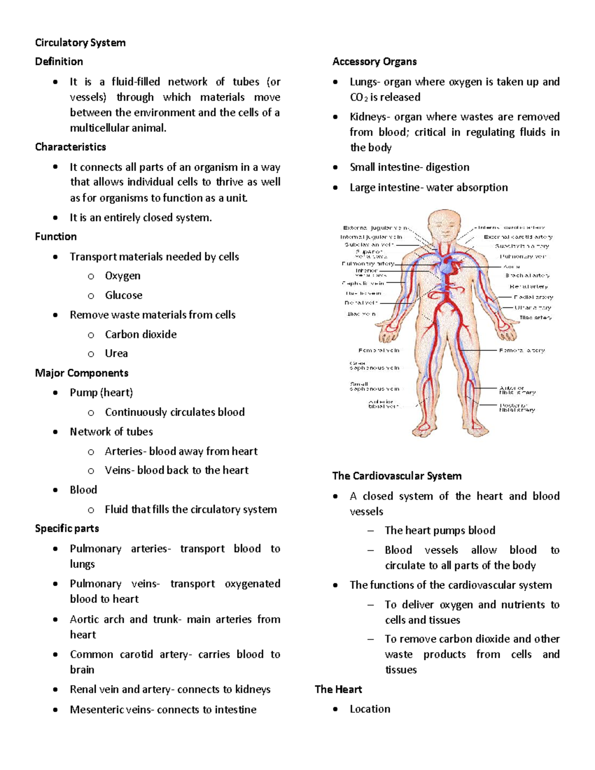 Bio Reviewer Biology Reviewer Circulatory System Definition It Is A Fluid Filled Network Of 9467