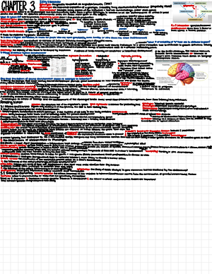 Developmental Psychology Chapter 2 Notes - PSY24010001 - IOWA - Studocu
