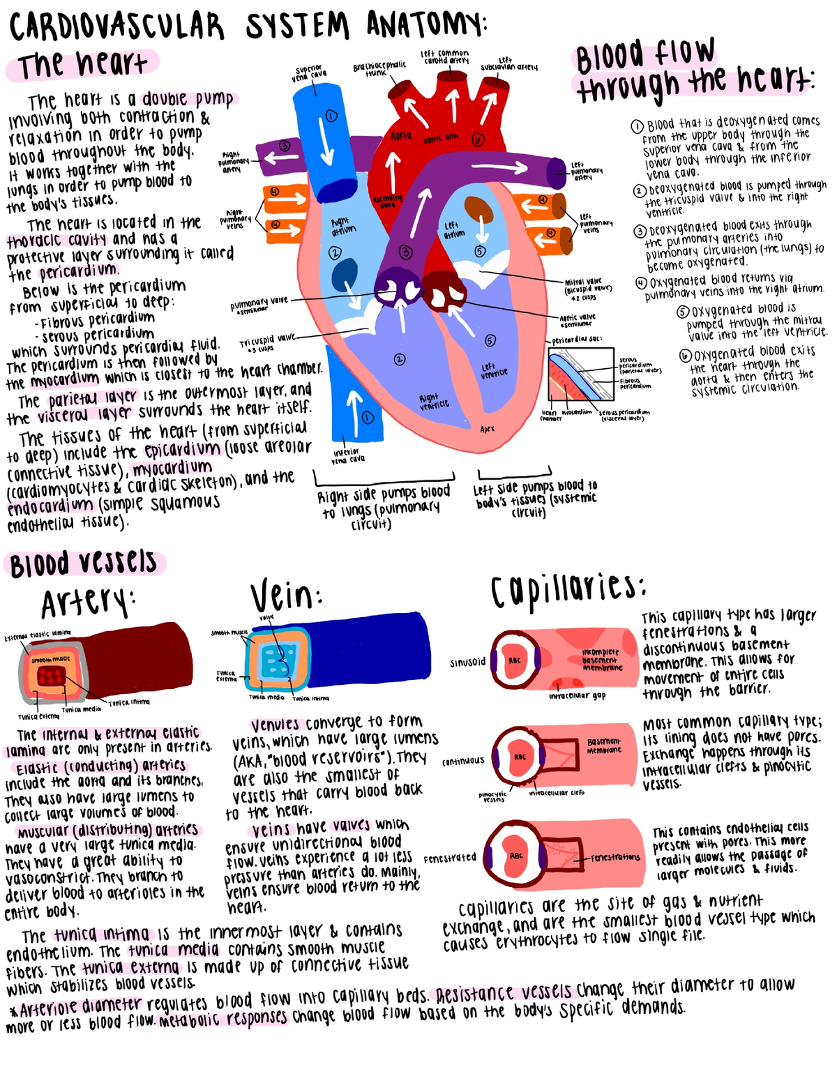 research study on heart