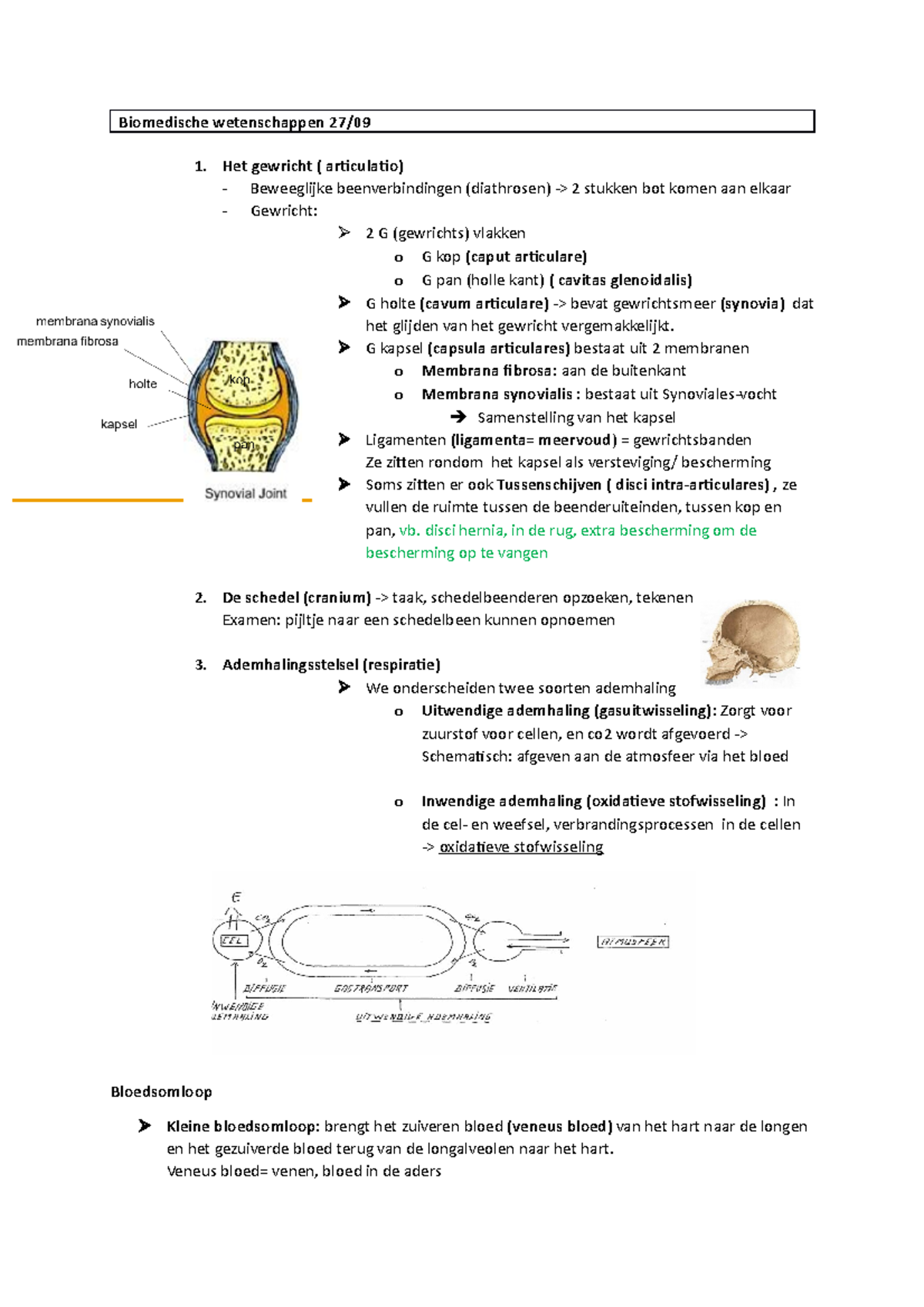 Bw - Biomedische Wetenschappen 27/ Het Gewricht ( Articulatio ...