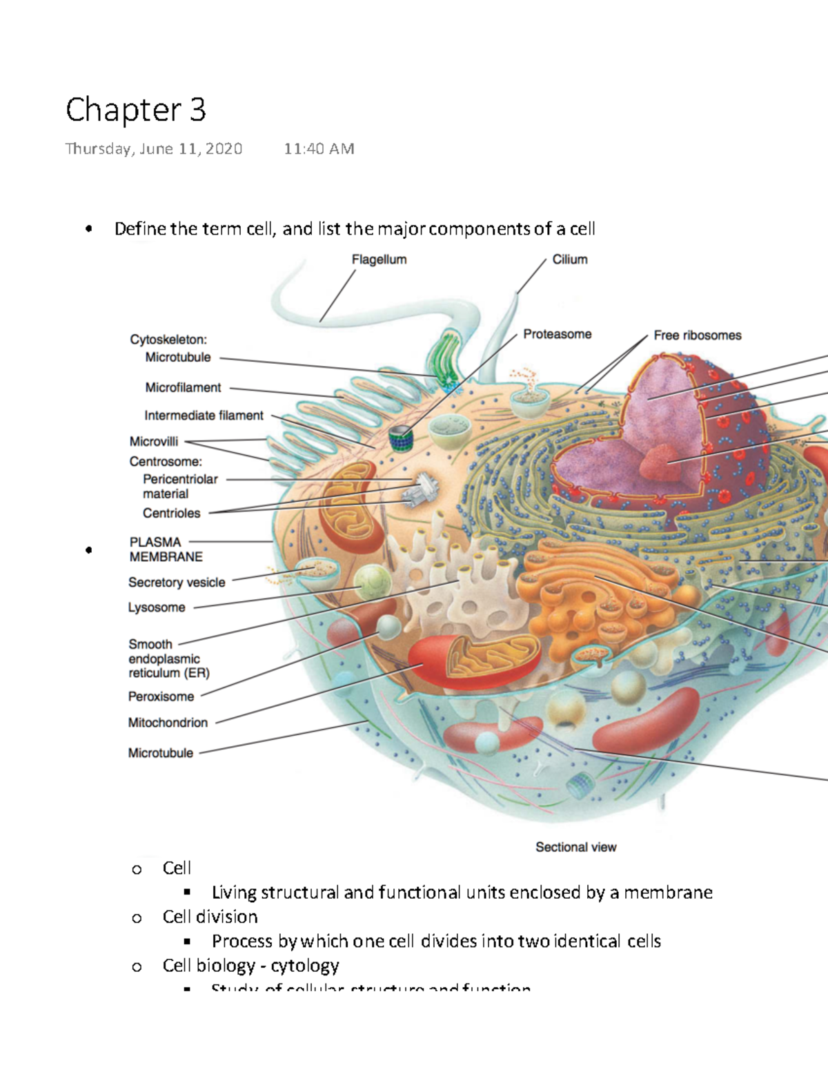 chapter-3-define-the-term-cell-and-list-the-major-components-of-a