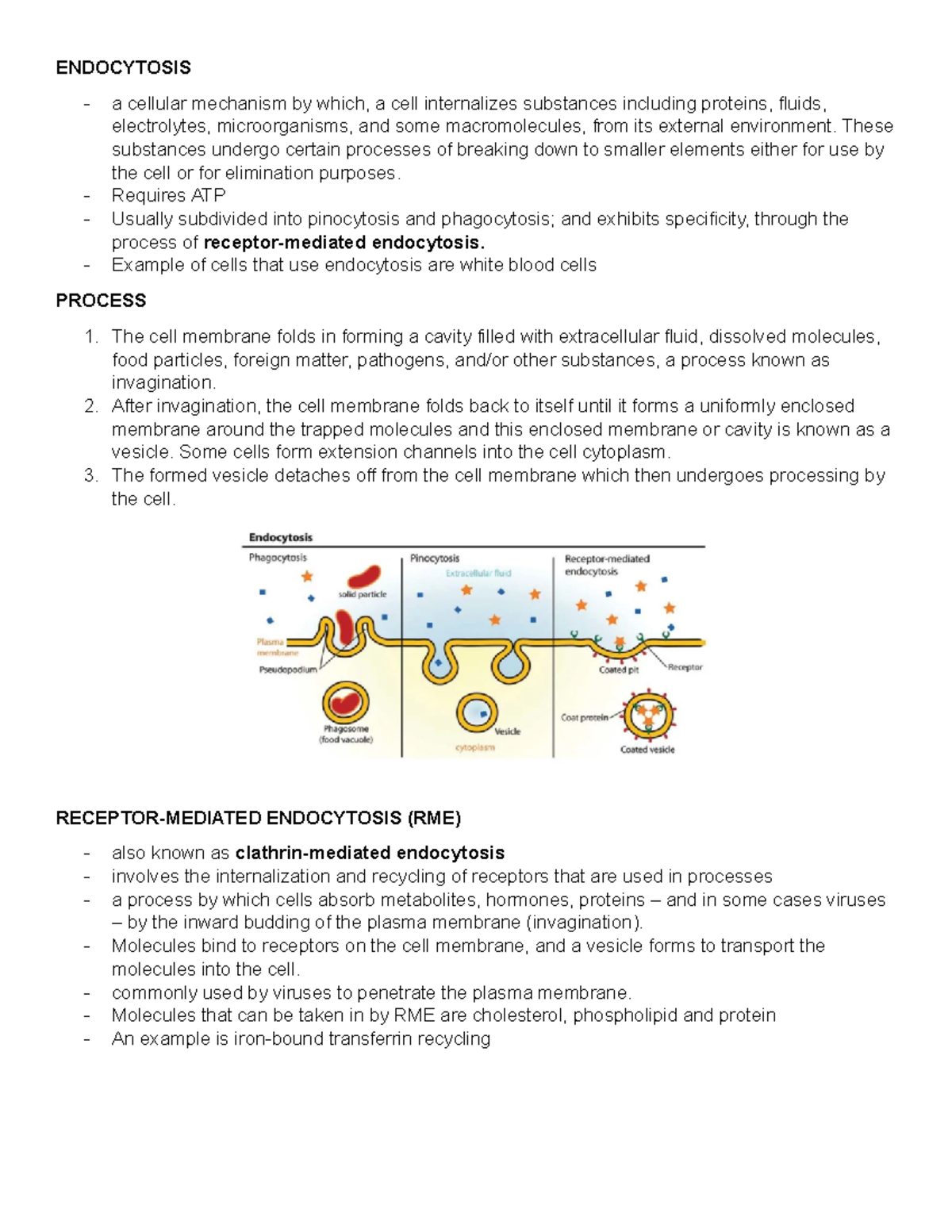 Endocytosis-RME - Lecture notes 1-3 - ENDOCYTOSIS a cellular mechanism ...