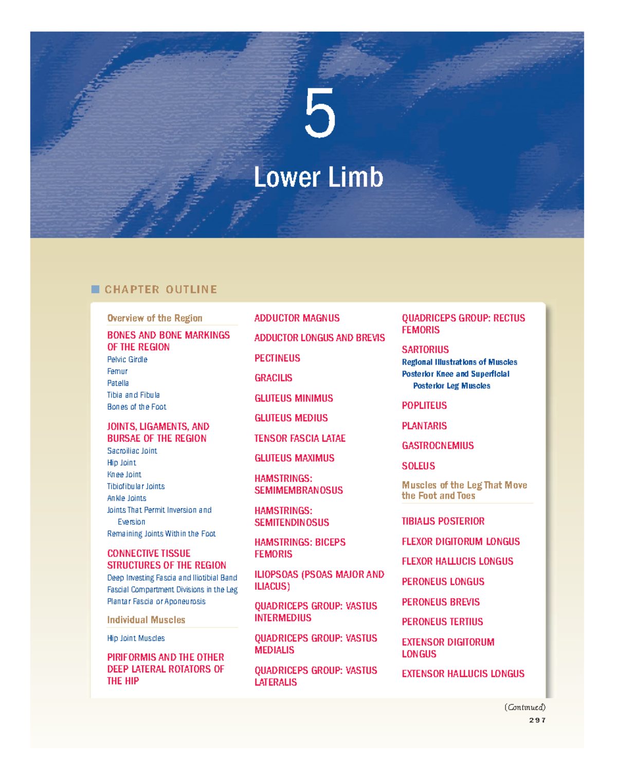 Lower limb anatomy - case 1 - Overview of the Region BONES AND BONE ...