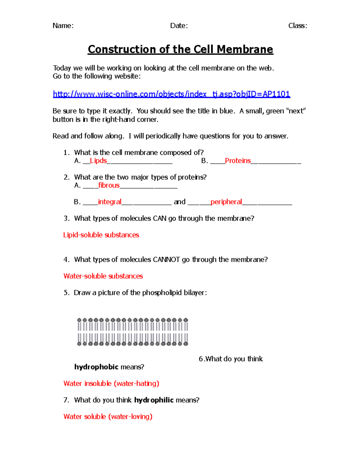 Pdf construction of the cell membrane website key - Construction of the ...