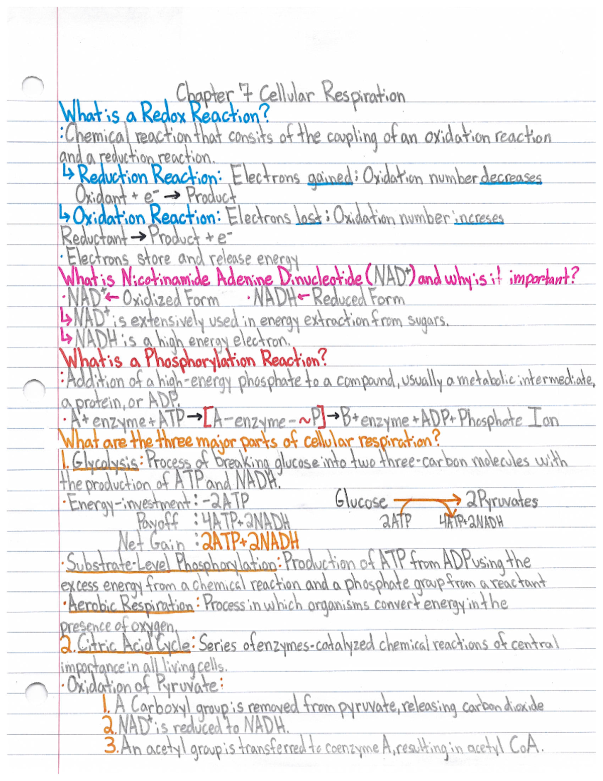 Ch. 7-8 Notes - BIO 1404 - Studocu