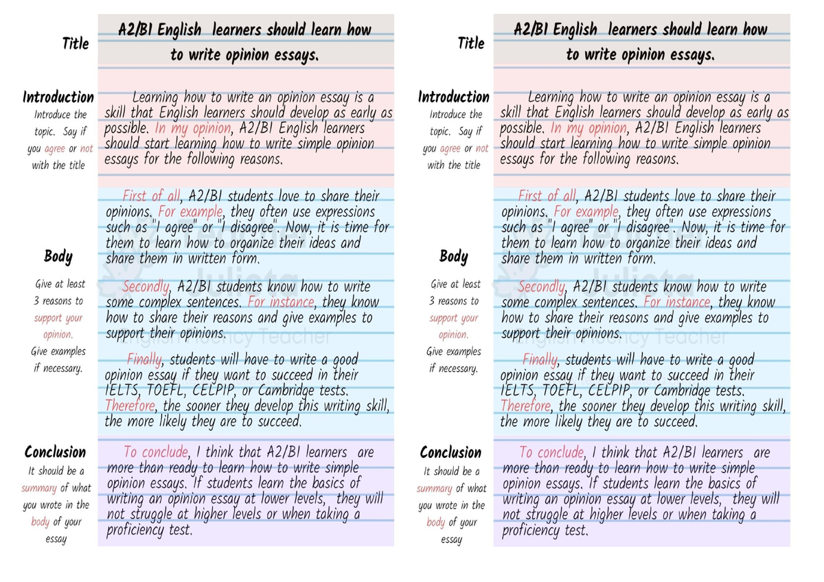 an opinion essay british council