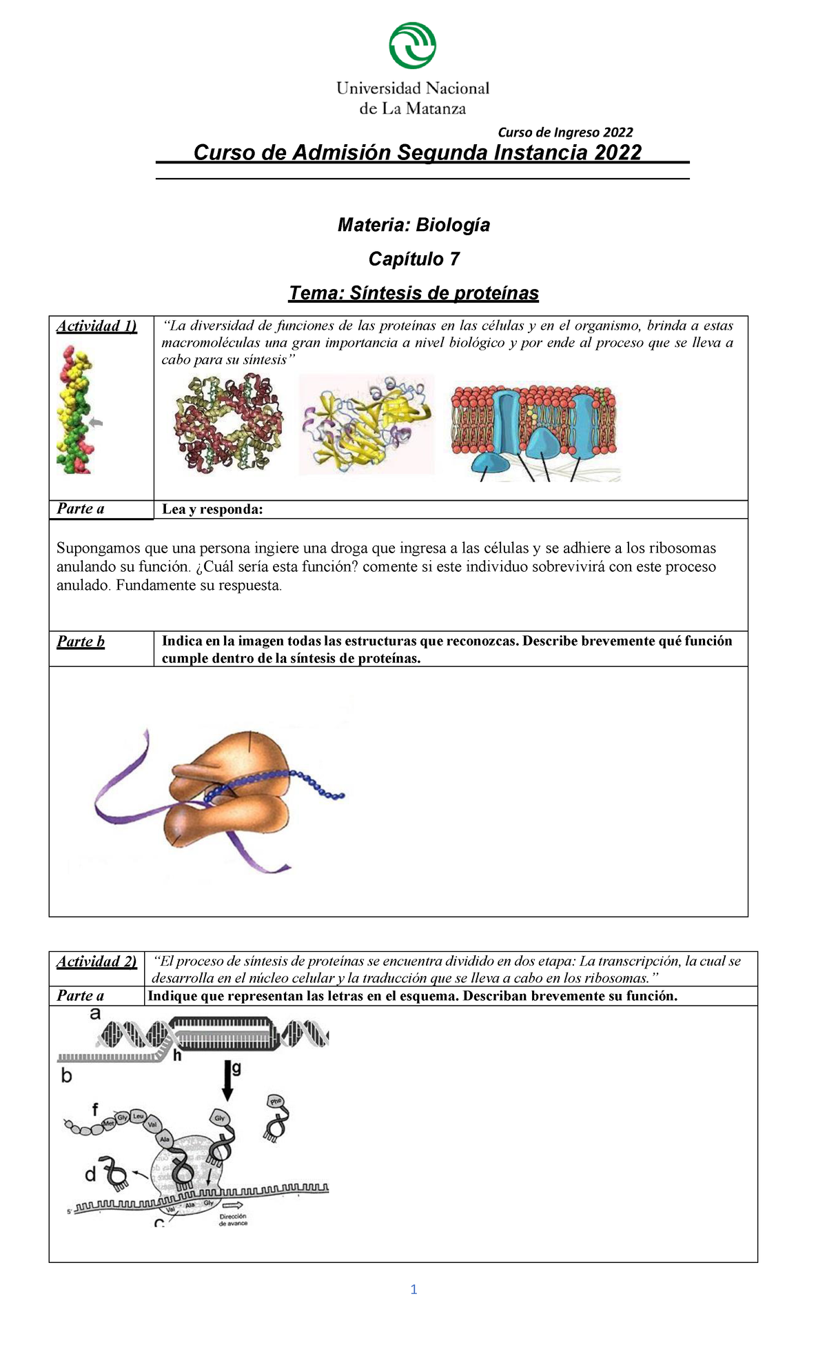 Actividades Clase 7 Sintesis De Proteinas 2022 - Curso De Admisión ...