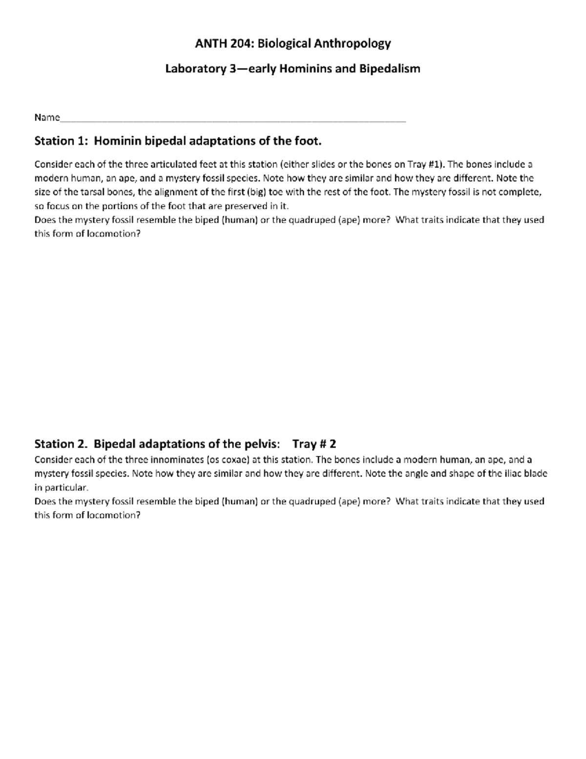 Lab 3 Early Hominins Anth 204 Winter 2022 Pdf Anth 201