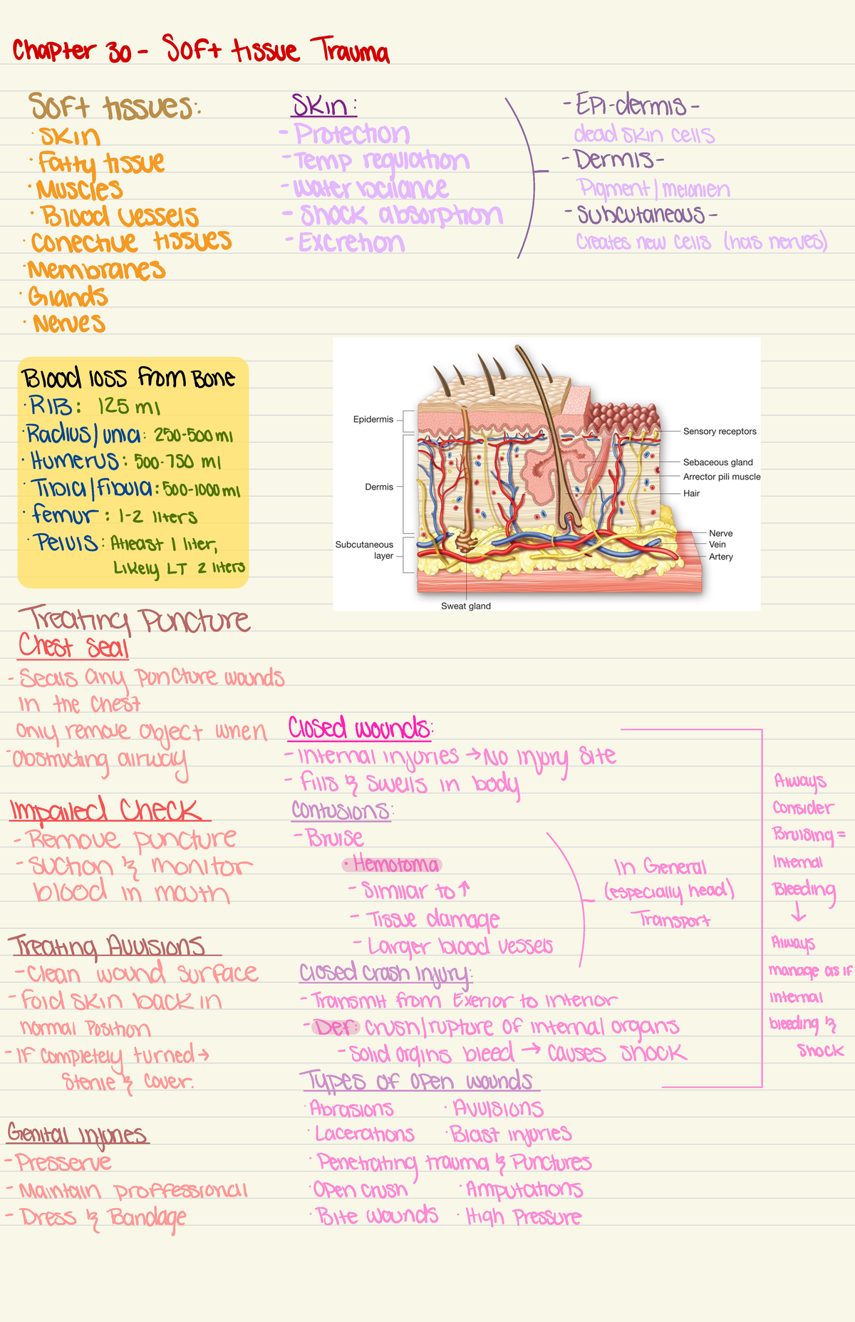 Chapter 30 - Soft Tissue Trauma - Chapter 30 - SOFtissue Trauma ...