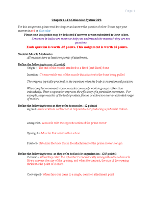 BIO 201 Chapter 13 Central Nervous System Assignment OPS - Chapter 13 ...