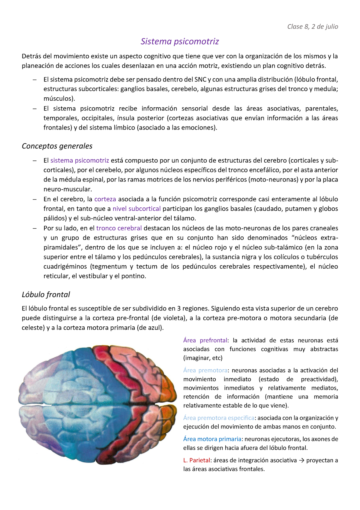 Neuro Segundo Parcial - Clase 8, 2 De Julio Sistema Psicomotriz Detrás ...