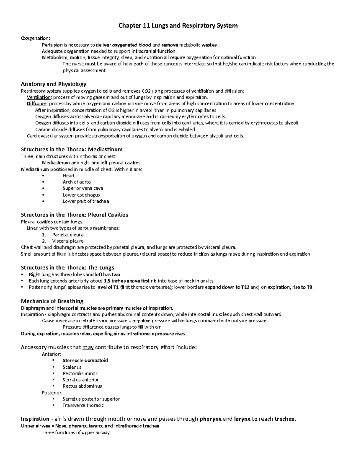 Chapter 11 Lungs And Respiratory System Outline - Chapter 11 Lungs And ...