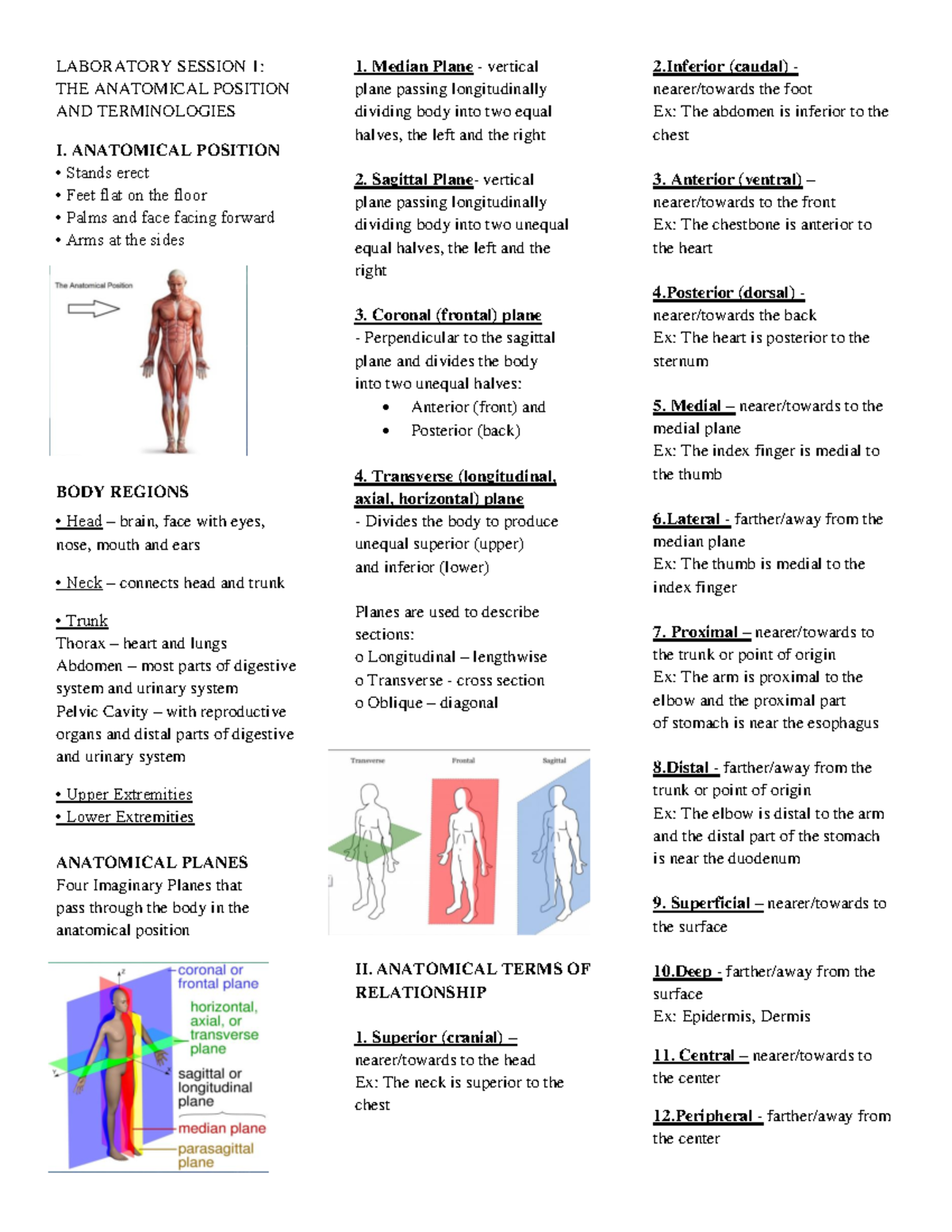 Anatomical plane - lecture notes in happ - LABORATORY SESSION 1: THE ...