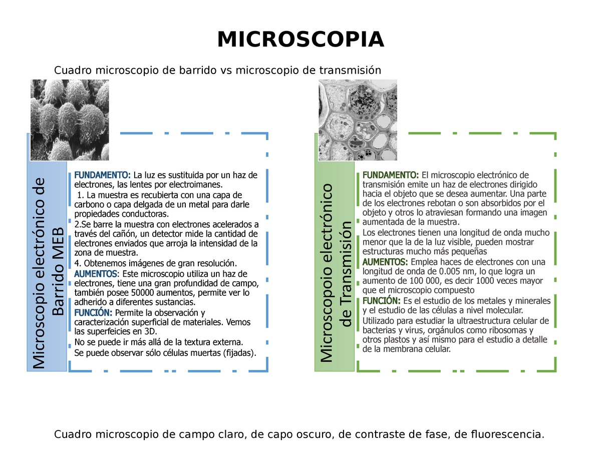 Médico perdí mi camino tubo respirador Comparación de los tipos de microscopio - MICROSCOPIA Cuadro microscopio de  barrido vs microscopio - Studocu