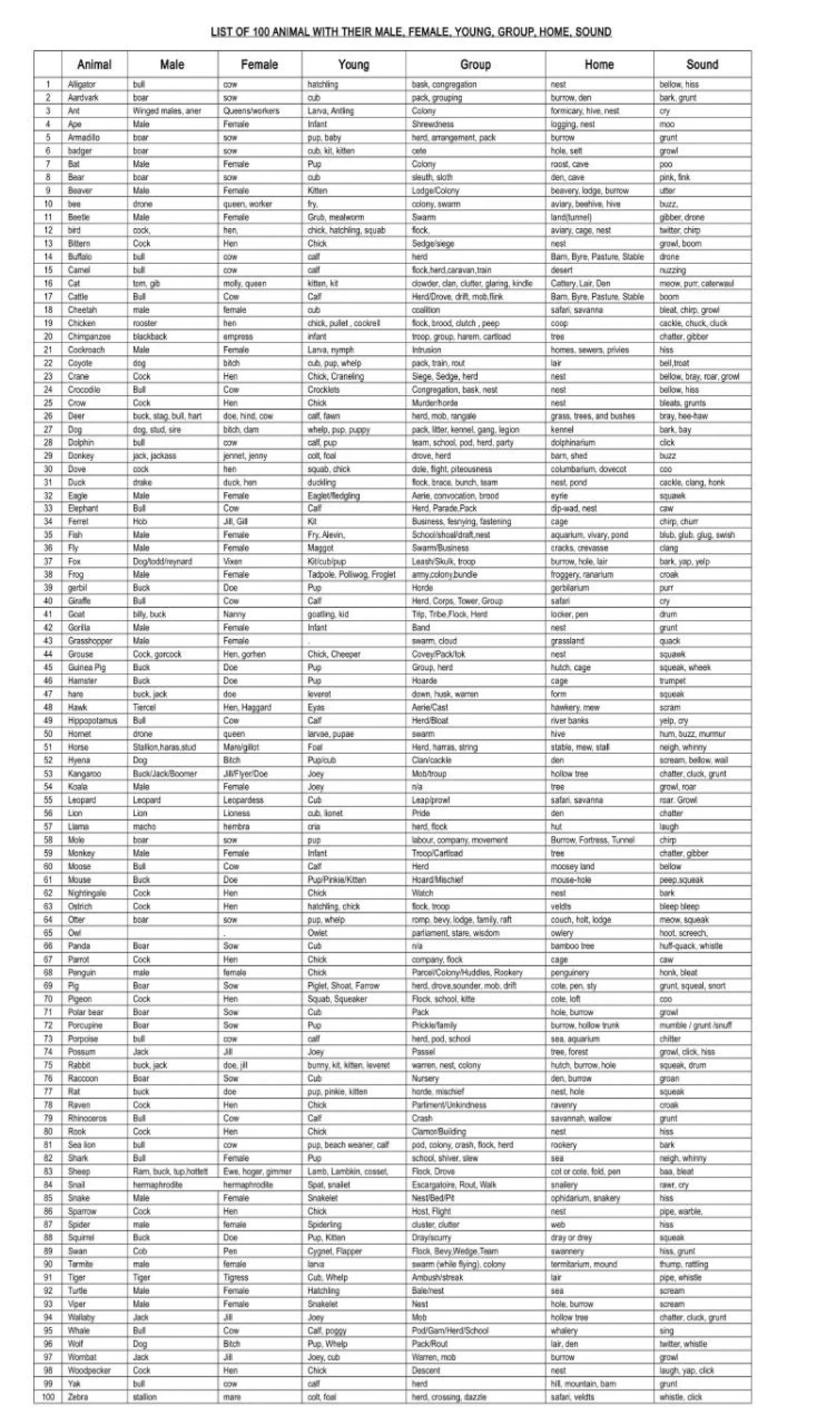 Cockroaches - River - 7th anal cercus 10th tergum sternum 10th styles ...