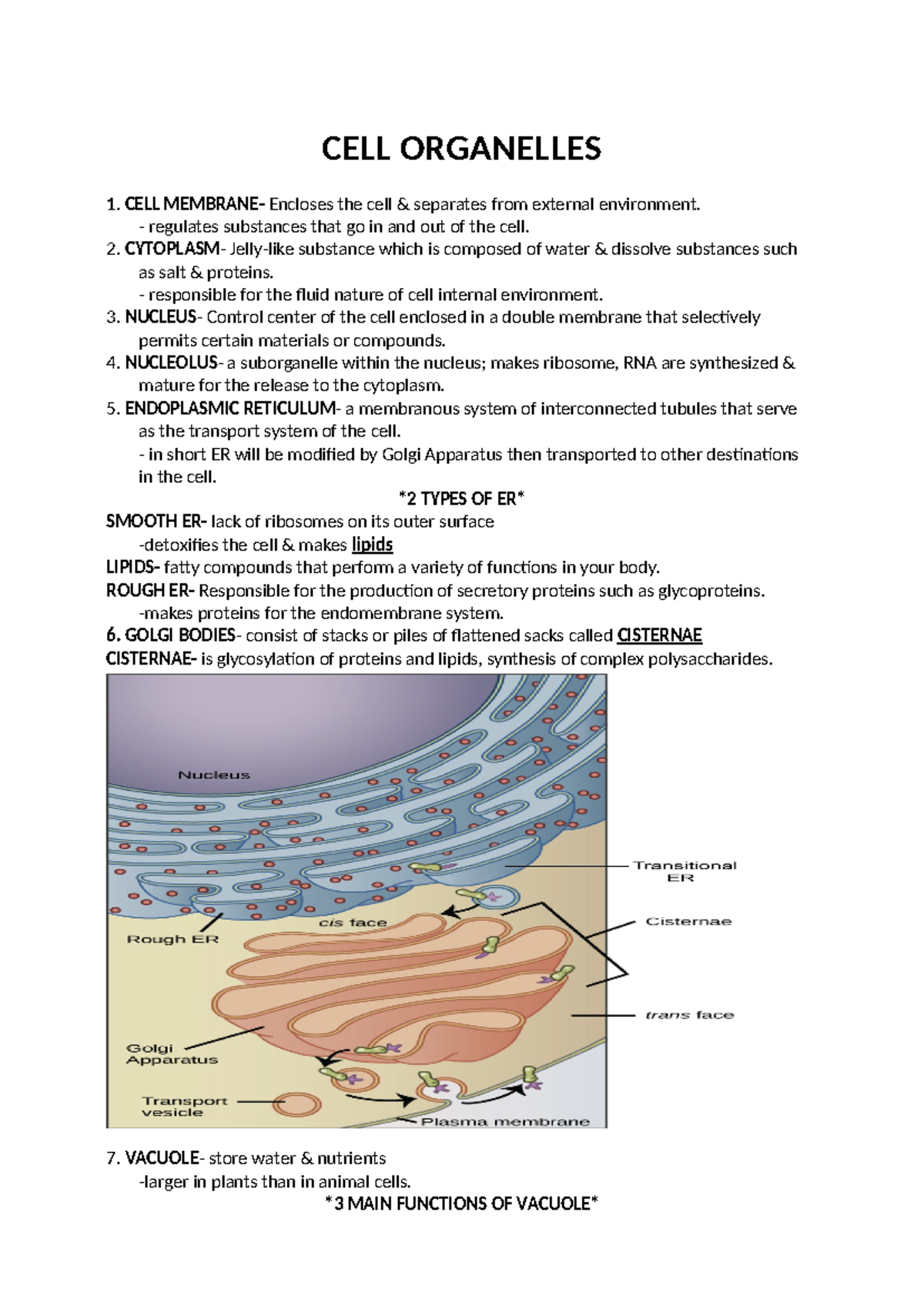 CELL- Organelles - CELL ORGANELLES CELL MEMBRANE- Encloses the cell ...
