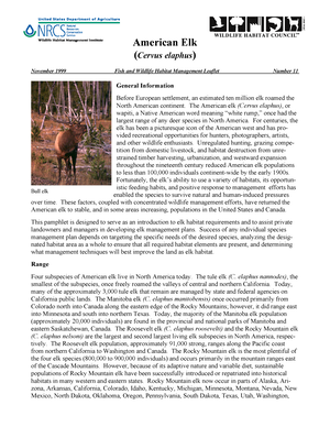 Lubricant Oil - Lecture Notes 2 - LUBRICATING OIL Since The Roman Era ...