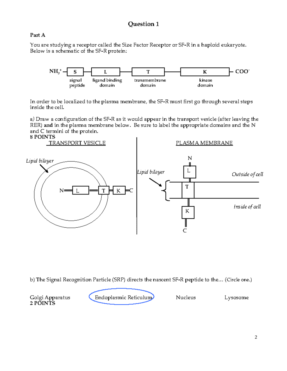 Exam 2 - 2021-2023 Biology Exam - Question 1 Part A You Are Studying A ...