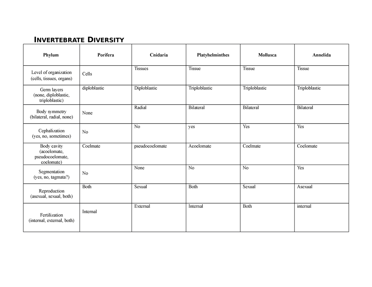 biology vertebrate assignment 3 - INVERTEBRATE DIVERSITY Phylum