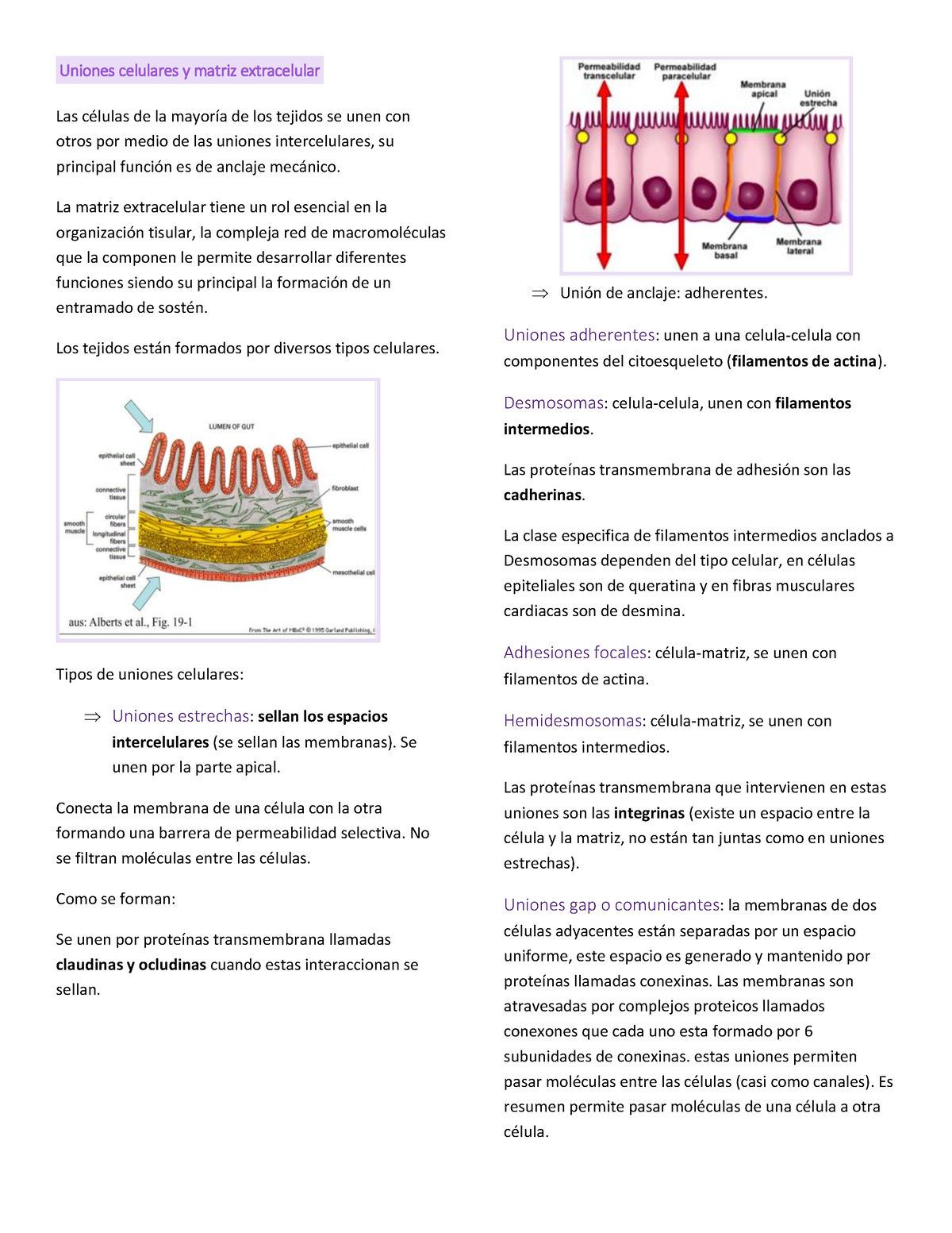 Test 2 Biocel - Biología Celular - USS - Studocu