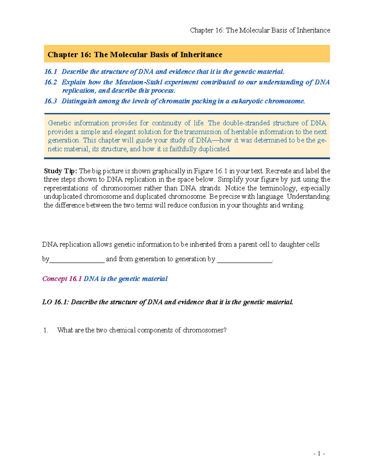Active Reading Notes 16 Short - Chapter 16: The Molecular Basis of ...