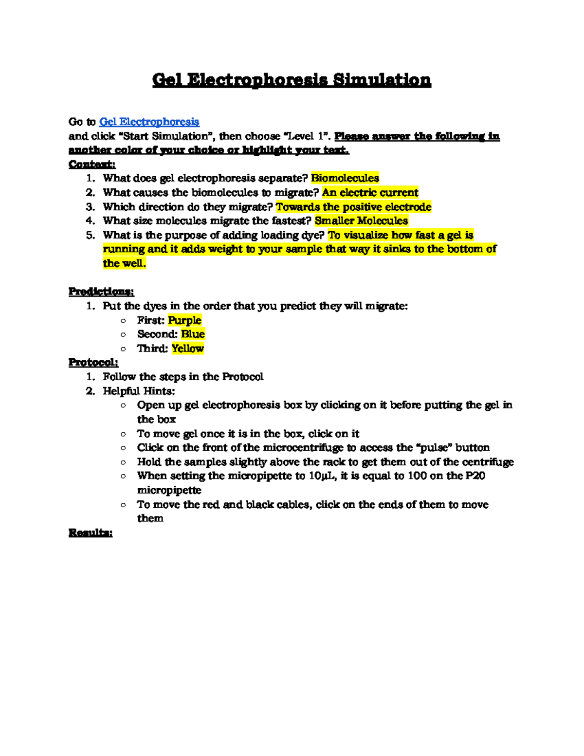 Copy of 01.4 Labxchange Gel Electrophoresis Simulation Questions Gel