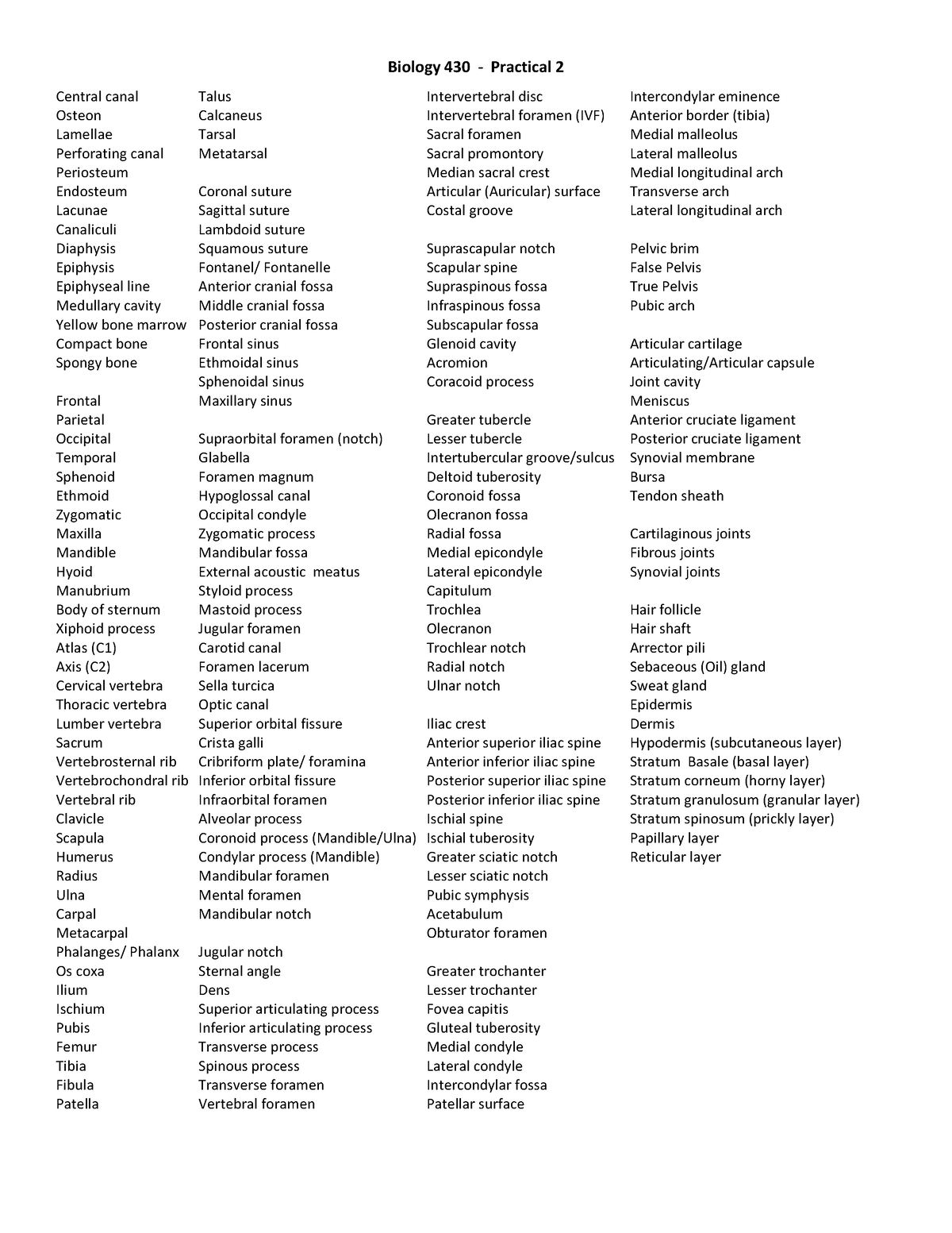 Practical+2+Keys - chart - Biology 430 - Practical 2 Central canal ...