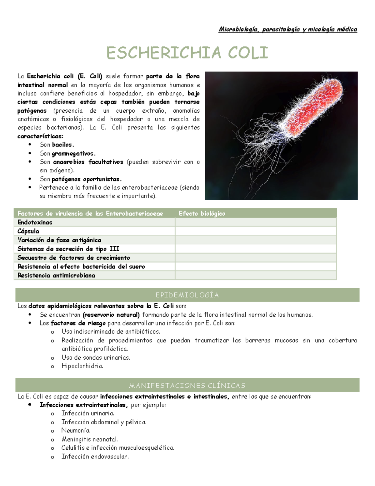 Escherichia Coli Microbiología Y Escherichia Coli La Escherichia Coli E Coli Suele Formar 4004