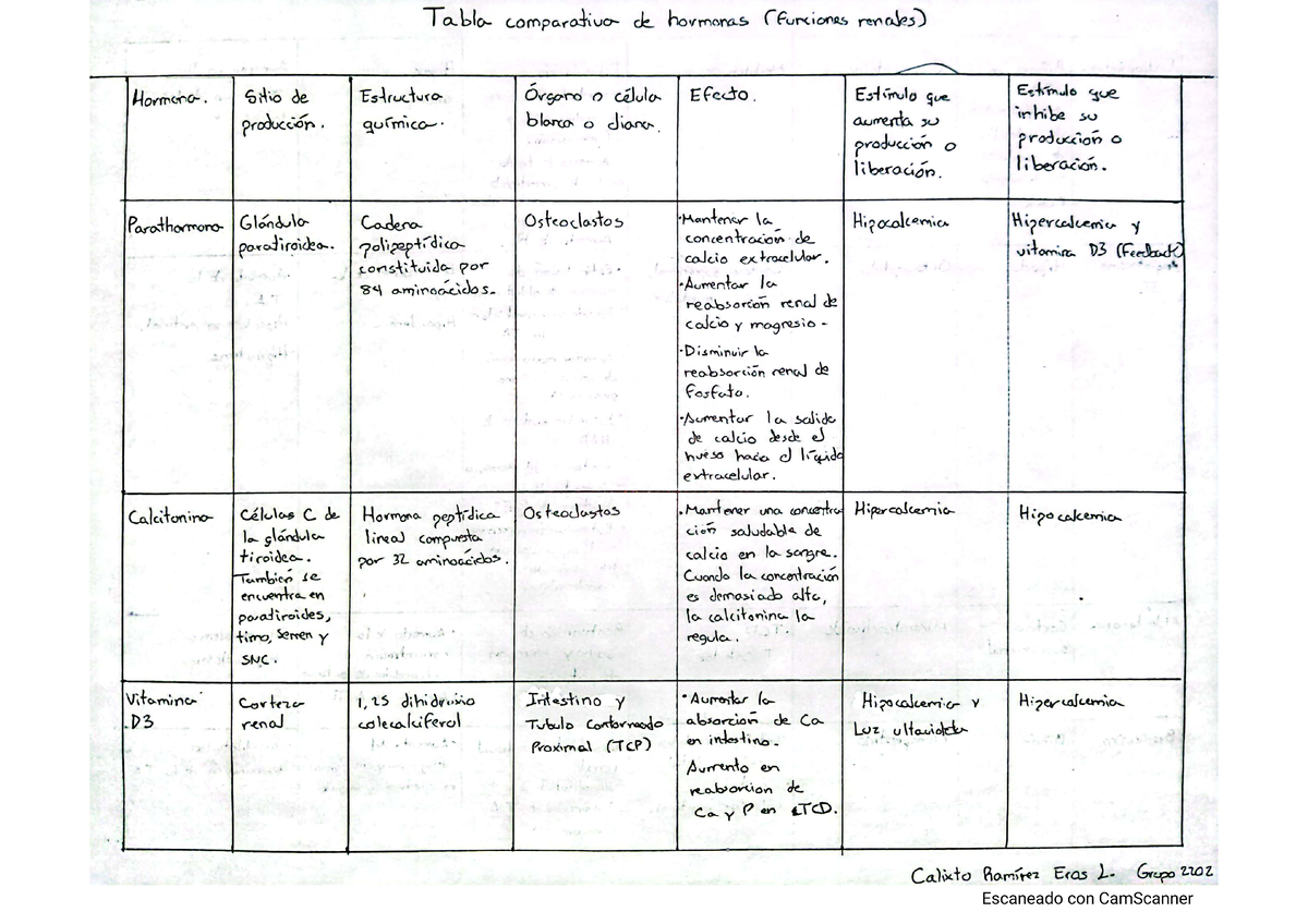 Tabla Hormonas Sistema Urinario Studocu