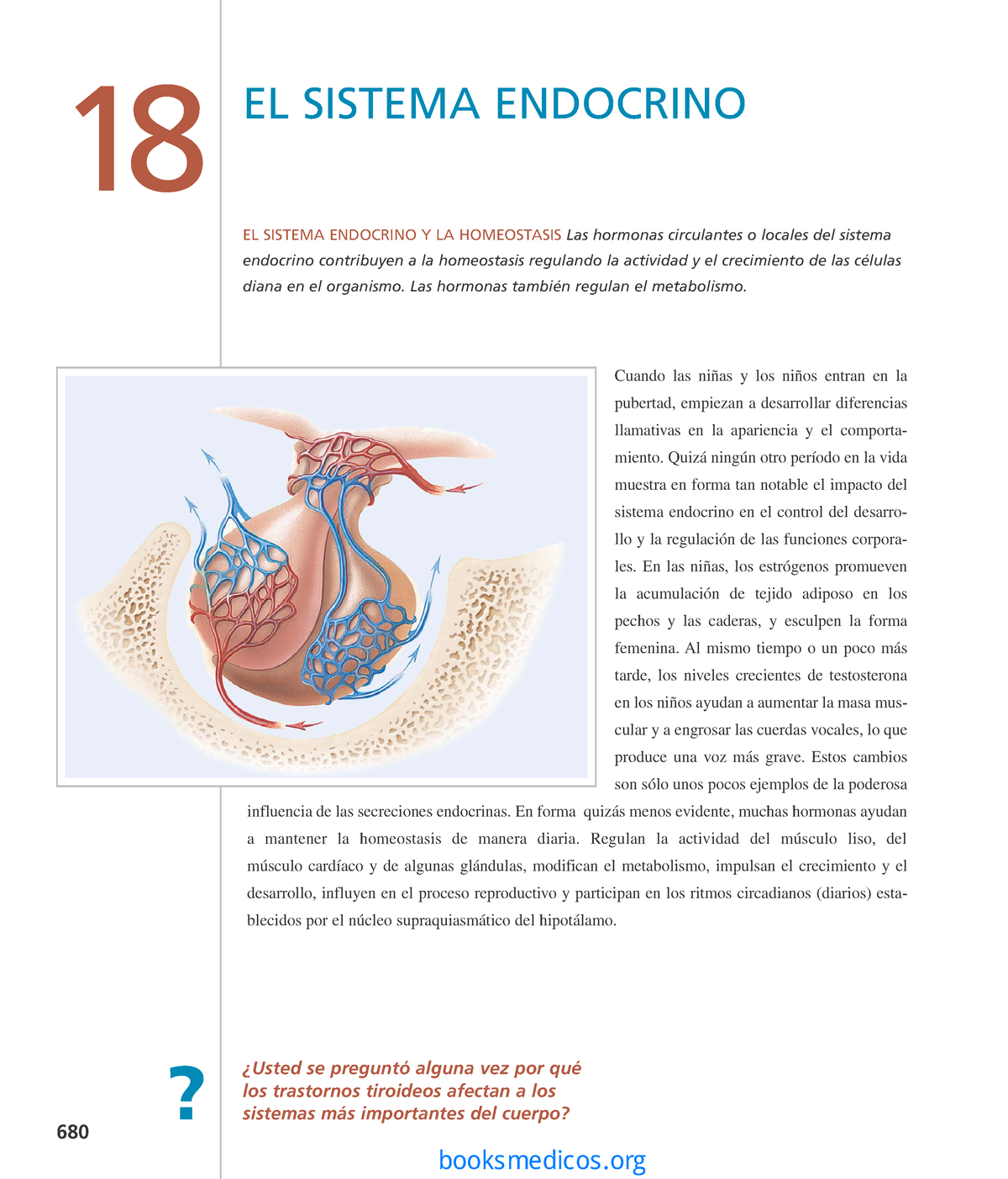 Sistema endocrino Tortora Derrickson - ####### Cuando las niñas y los ...